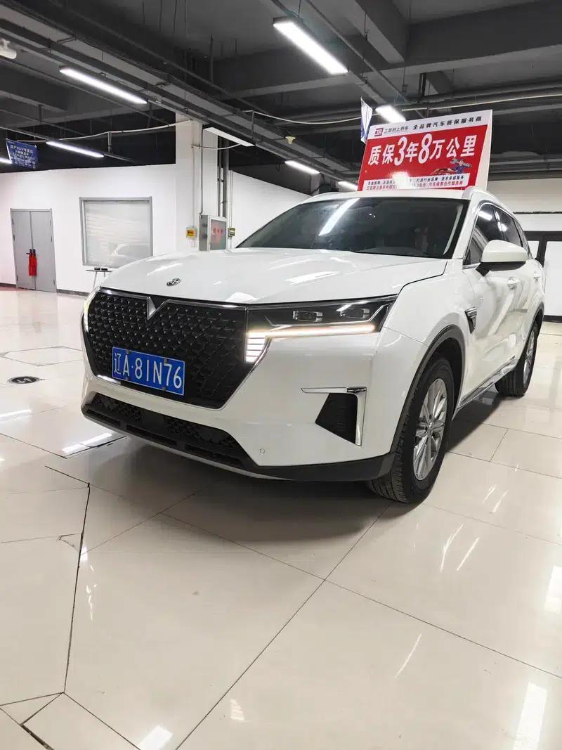 Venucia Star 2020 260T 48V Mild Hybrid Turbocharged Star Enjoy Edition — миниатюра 1