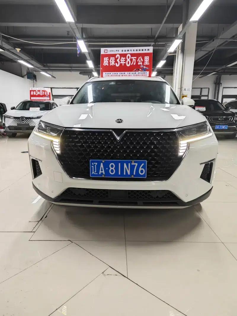Venucia Star 2020 260T 48V Mild Hybrid Turbocharged Star Enjoy Edition — миниатюра 2