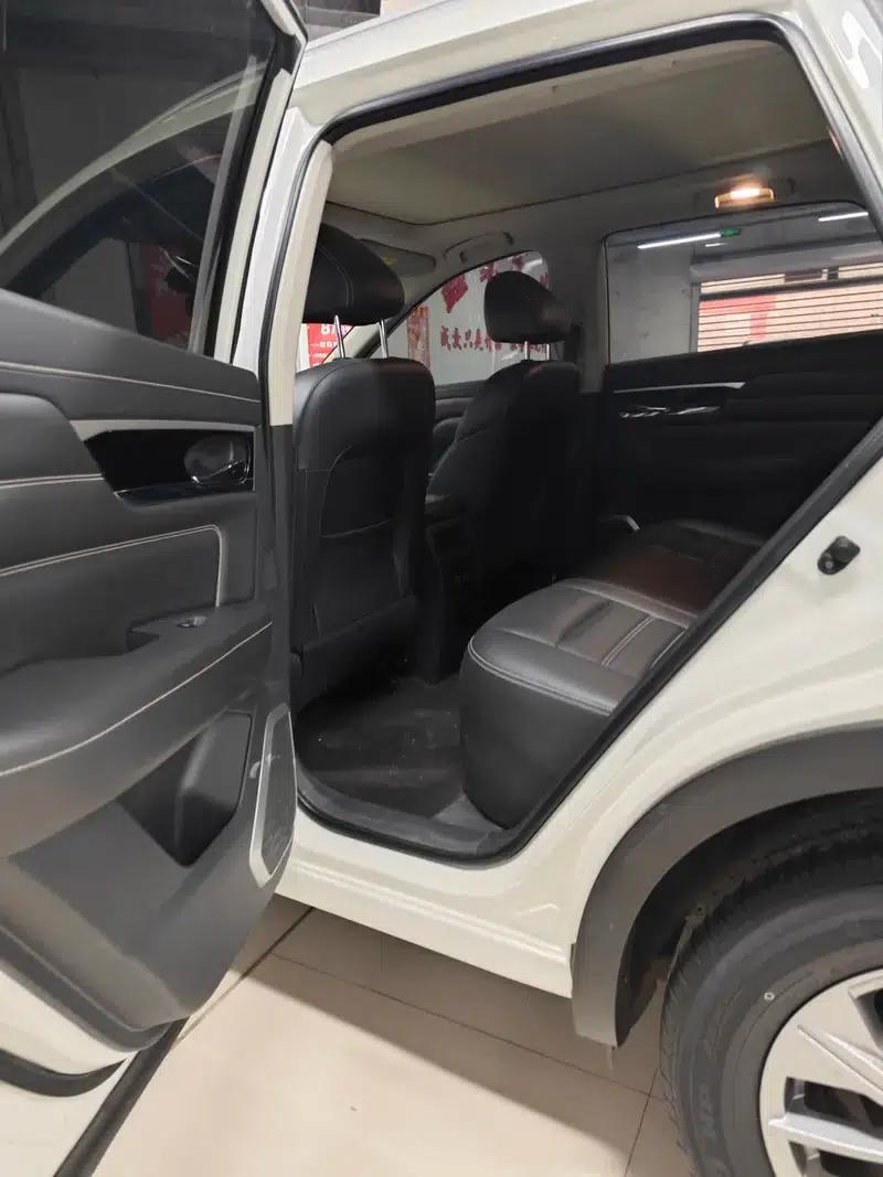 Venucia Star 2020 260T 48V Mild Hybrid Turbocharged Star Enjoy Edition — миниатюра 11
