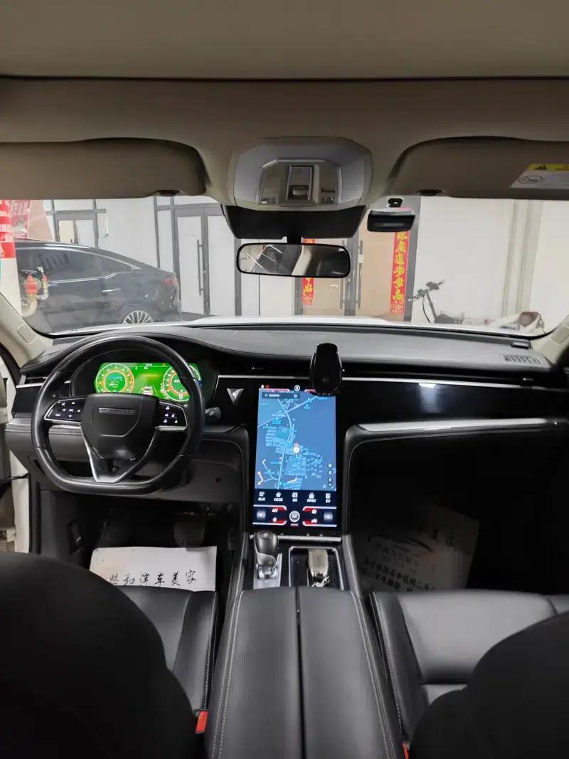 Venucia Star 2020 260T 48V Mild Hybrid Turbocharged Star Enjoy Edition — миниатюра 13