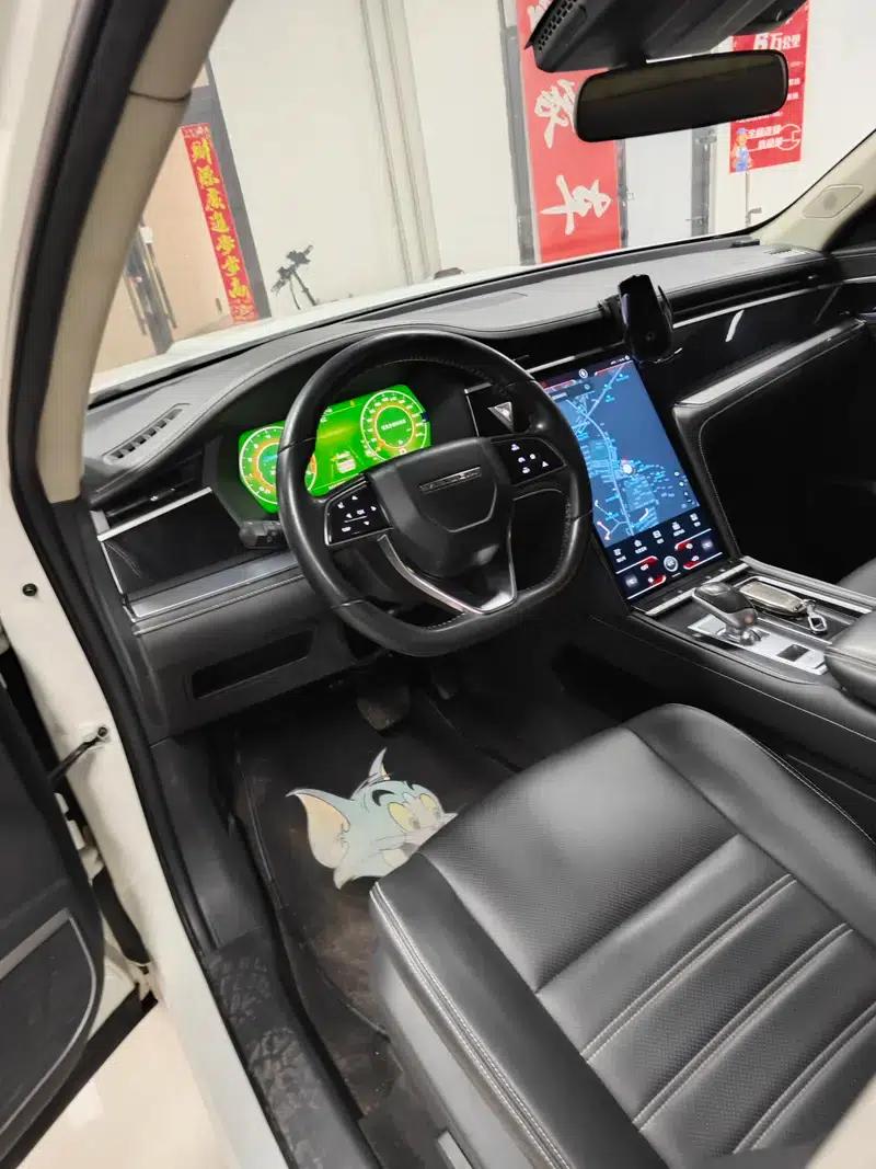 Venucia Star 2020 260T 48V Mild Hybrid Turbocharged Star Enjoy Edition — миниатюра 14