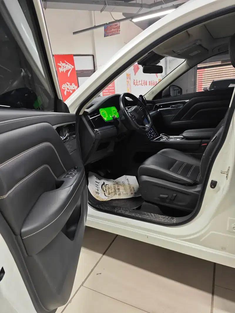 Venucia Star 2020 260T 48V Mild Hybrid Turbocharged Star Enjoy Edition — миниатюра 15