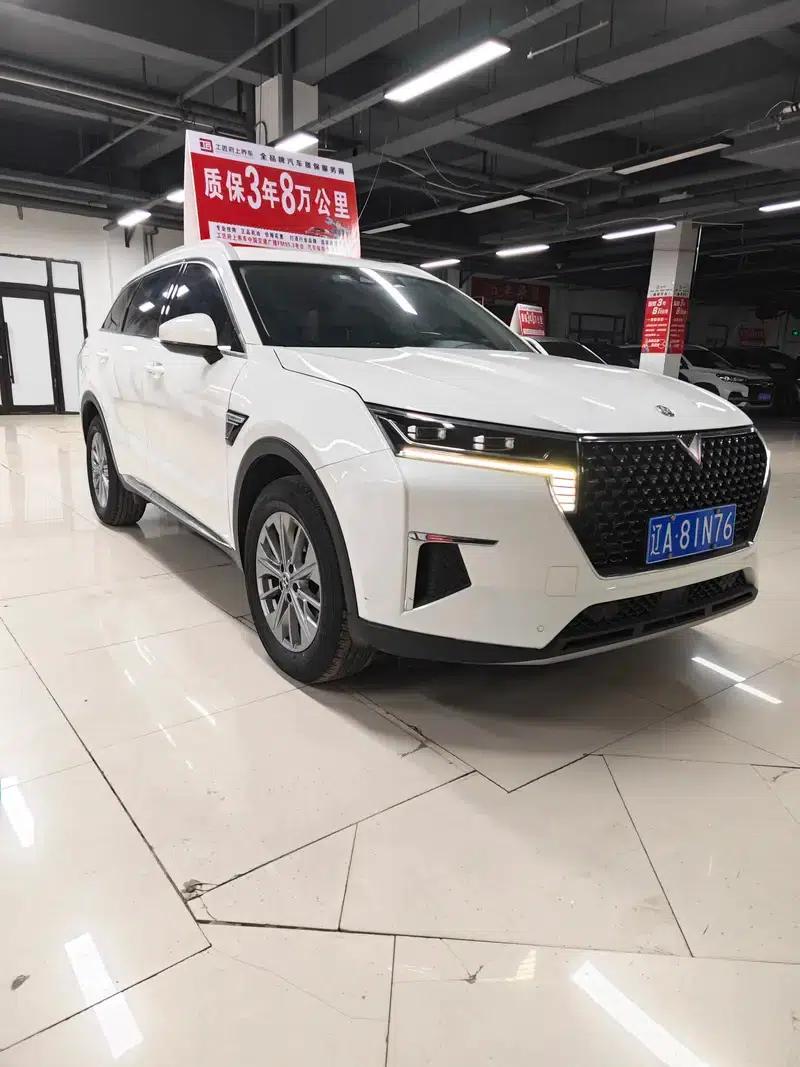 Venucia Star 2020 260T 48V Mild Hybrid Turbocharged Star Enjoy Edition — миниатюра 3