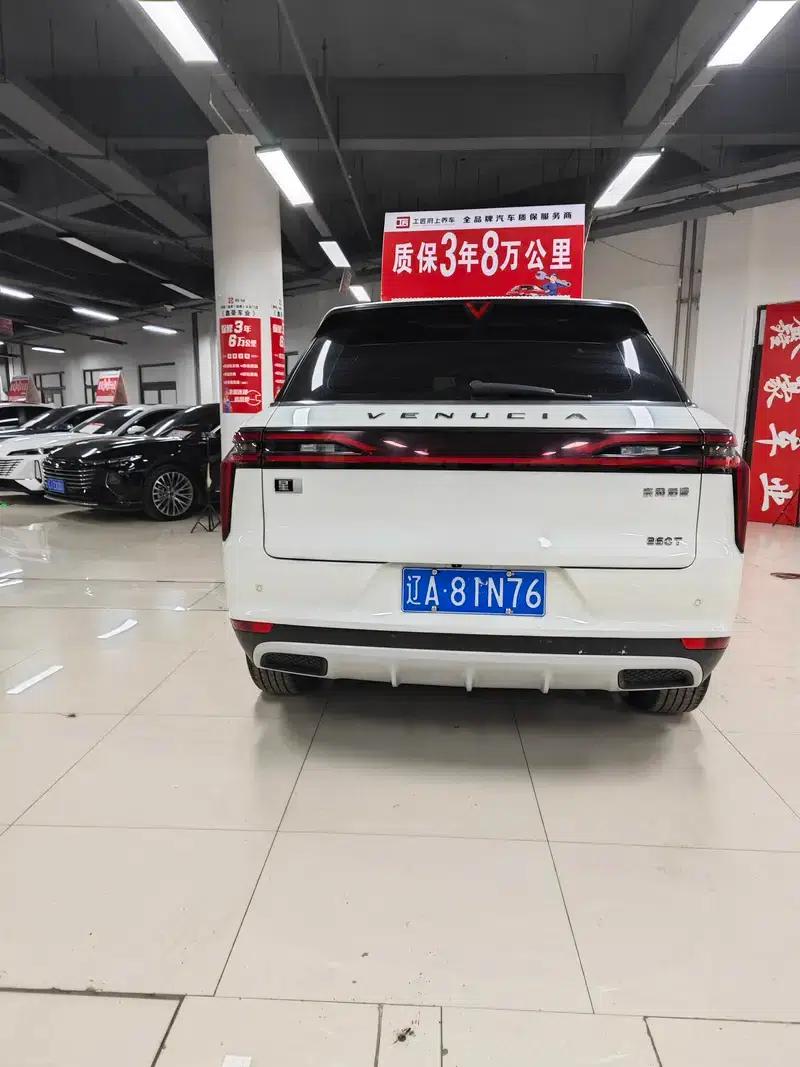Venucia Star 2020 260T 48V Mild Hybrid Turbocharged Star Enjoy Edition — миниатюра 5