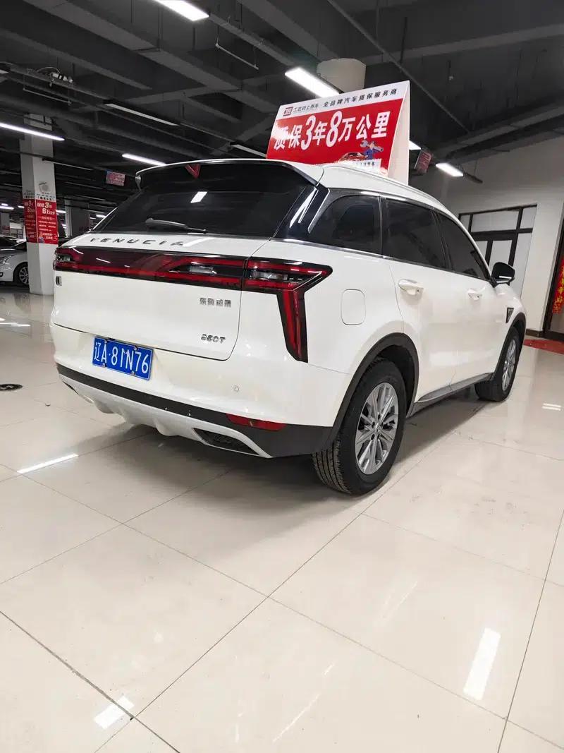 Venucia Star 2020 260T 48V Mild Hybrid Turbocharged Star Enjoy Edition — миниатюра 6