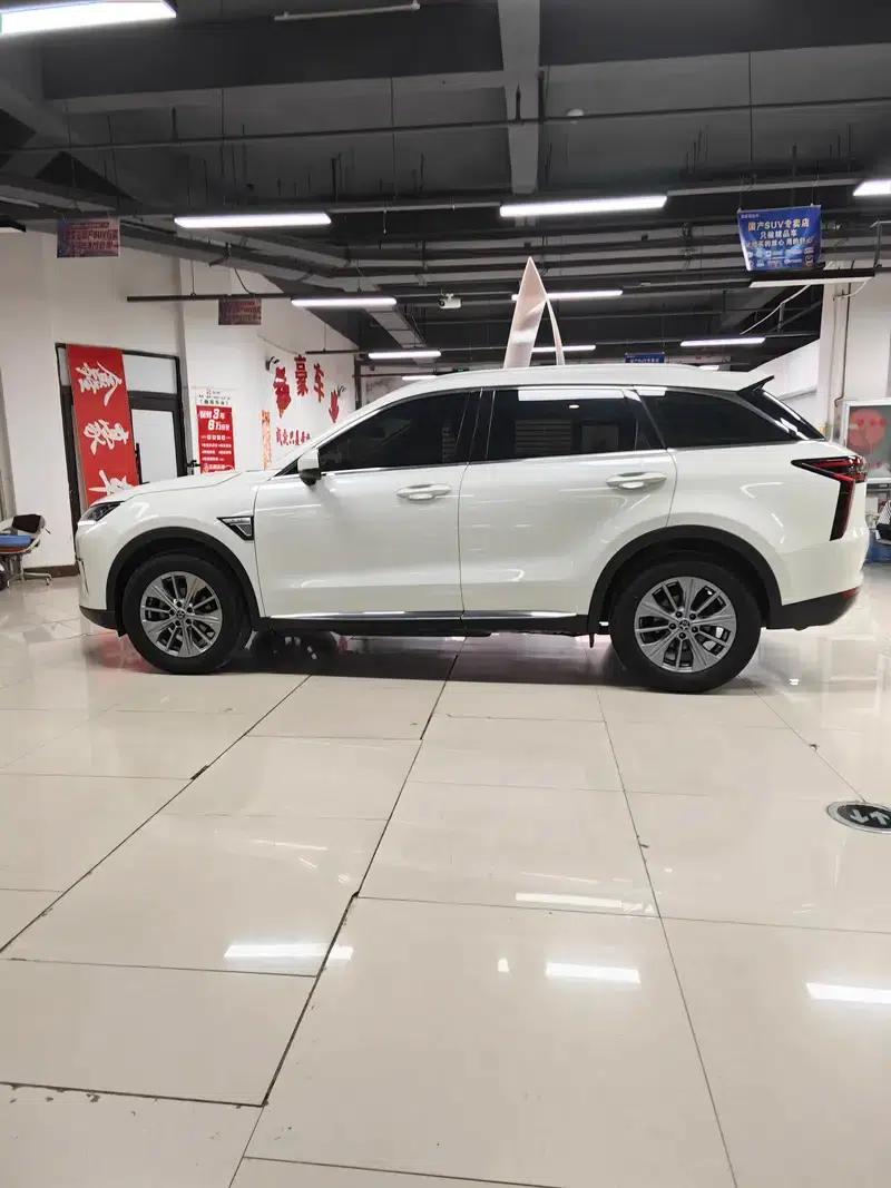 Venucia Star 2020 260T 48V Mild Hybrid Turbocharged Star Enjoy Edition — миниатюра 8