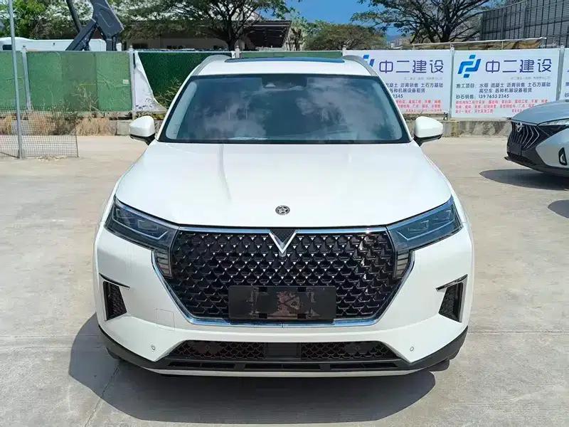 Venucia Star 2020 260T 48V Mild Hybrid Turbocharged Star Edition — миниатюра 2
