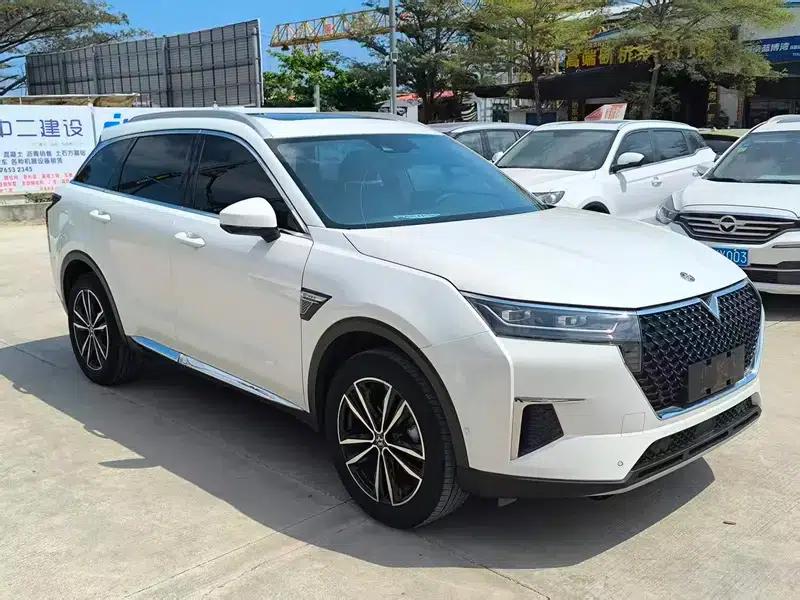 Venucia Star 2020 260T 48V Mild Hybrid Turbocharged Star Edition — миниатюра 3