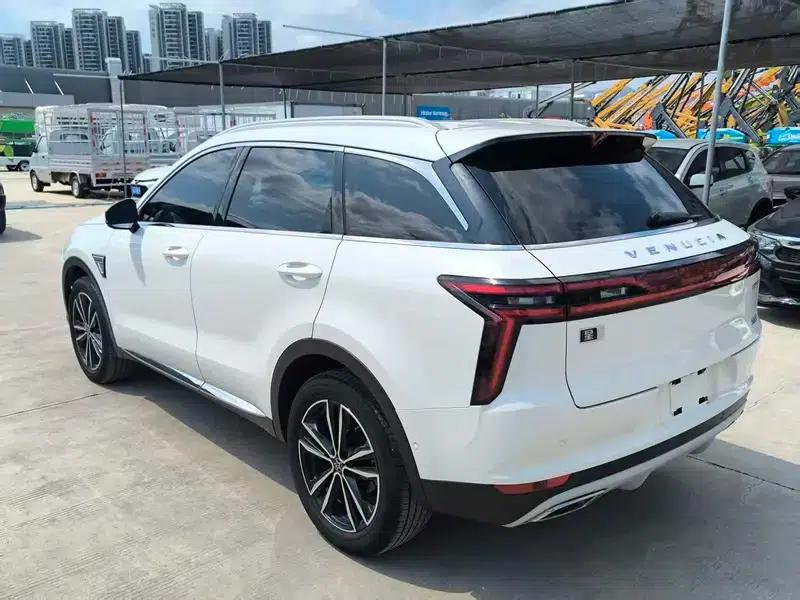 Venucia Star 2020 260T 48V Mild Hybrid Turbocharged Star Edition — миниатюра 4