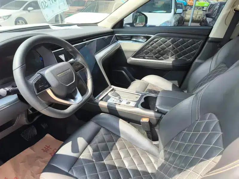 Venucia Star 2020 260T 48V Mild Hybrid Turbocharged Star Edition — миниатюра 8