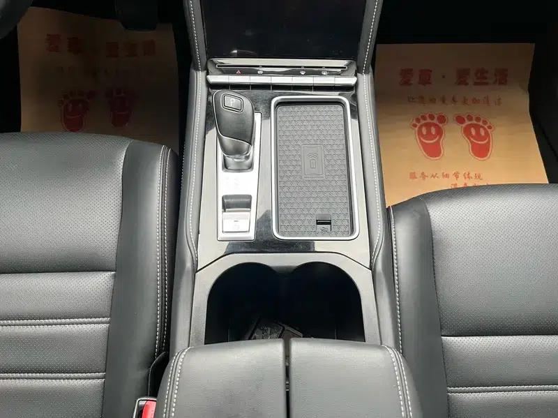 Venucia Star 2020 260T 48V Mild Hybrid Turbocharged Star Edition — миниатюра 13