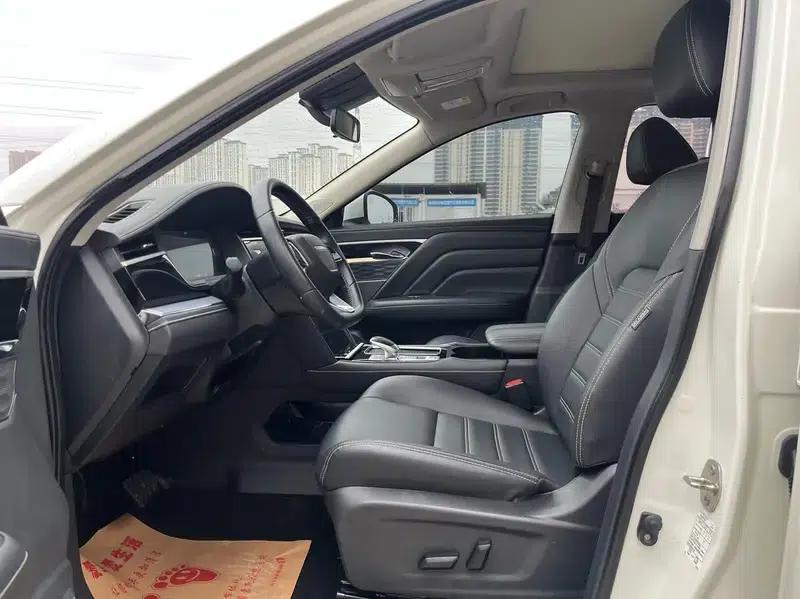 Venucia Star 2020 260T 48V Mild Hybrid Turbocharged Star Edition — миниатюра 14