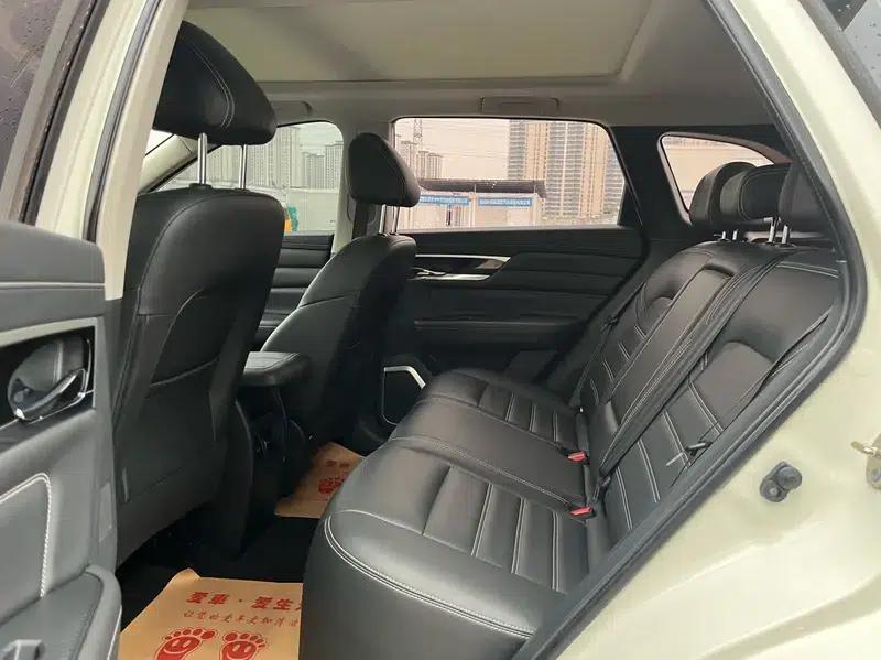 Venucia Star 2020 260T 48V Mild Hybrid Turbocharged Star Edition — миниатюра 15