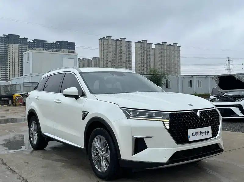 Venucia Star 2020 260T 48V Mild Hybrid Turbocharged Star Edition — миниатюра 3