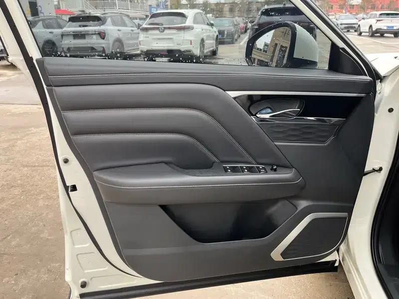 Venucia Star 2020 260T 48V Mild Hybrid Turbocharged Star Edition — миниатюра 7
