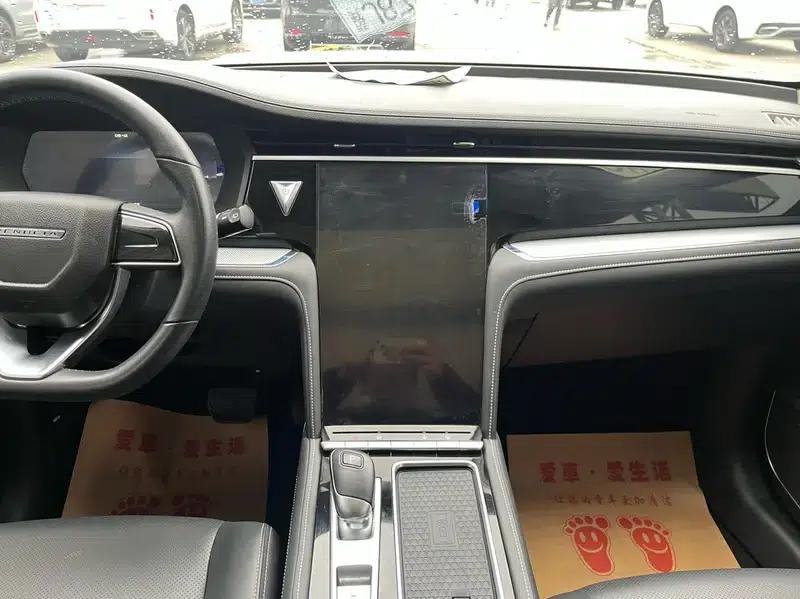 Venucia Star 2020 260T 48V Mild Hybrid Turbocharged Star Edition — миниатюра 8