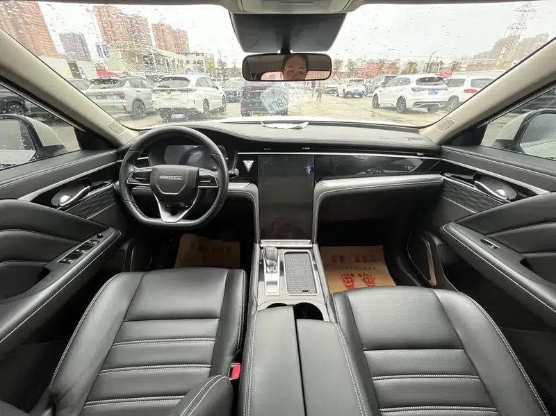 Venucia Star 2020 260T 48V Mild Hybrid Turbocharged Star Edition — миниатюра 10