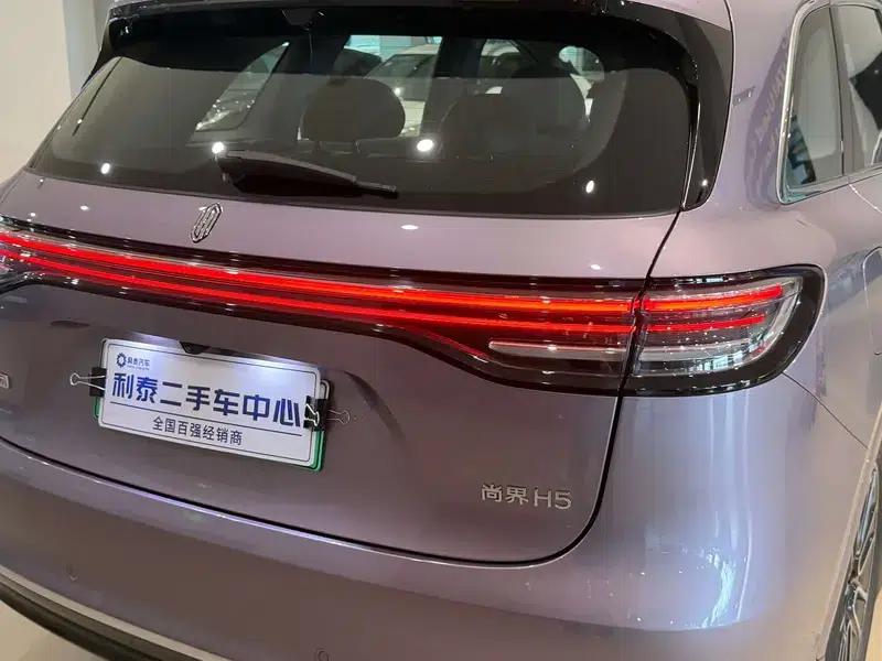 2025 Shangjie H5 Extended Range Max — миниатюра 11