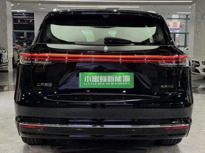 2025 Shangjie H5 Extended Range Max — миниатюра 5