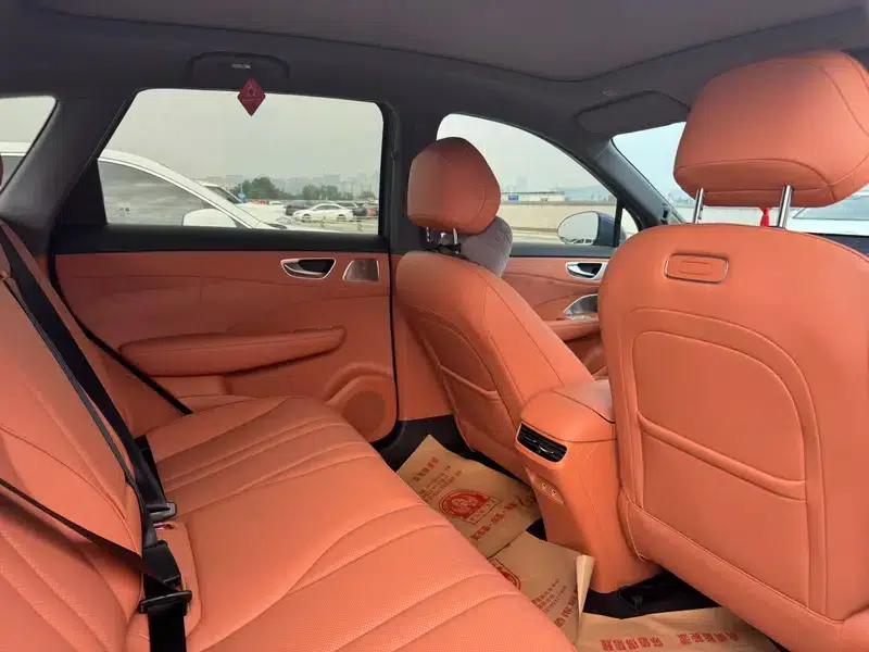 2025 Shangjie H5 Extended Range Max — миниатюра 12
