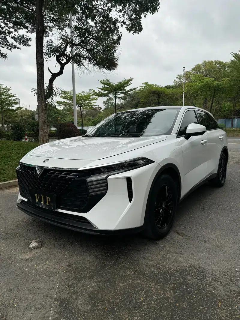 Venucia V2022 260T Dark Horse Edition - Idol — миниатюра 1