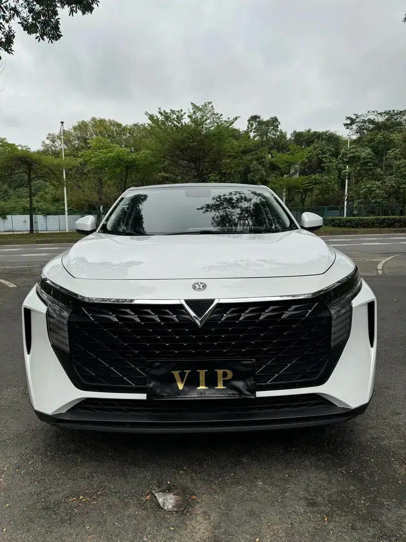 Venucia V2022 260T Dark Horse Edition - Idol — миниатюра 2