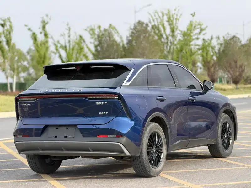 Venucia V2022 260T Idol Edition — миниатюра 6