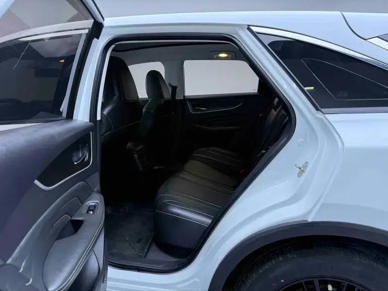 Venucia V2022 260T Dark Horse Edition - Idol — миниатюра 8