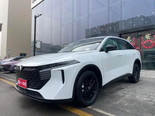Venucia V2026 260T New Star Edition Pro