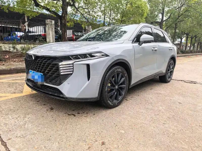 Venucia V2022 260T King Edition — миниатюра 1
