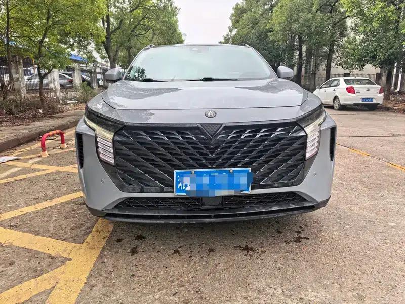 Venucia V2022 260T King Edition — миниатюра 2