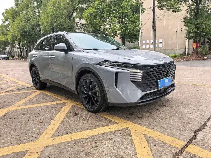 Venucia V2022 260T King Edition — миниатюра 3