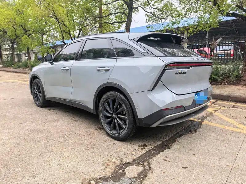 Venucia V2022 260T King Edition — миниатюра 4