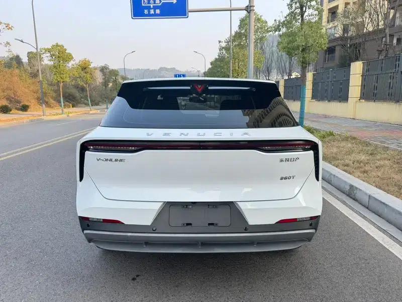 Venucia V2022 260T Dark Horse Edition - Idol — миниатюра 5