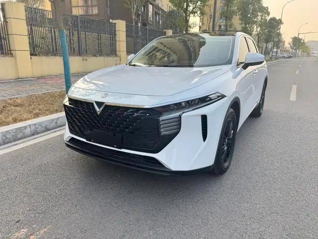 Venucia V2022 260T Dark Horse Edition - Idol