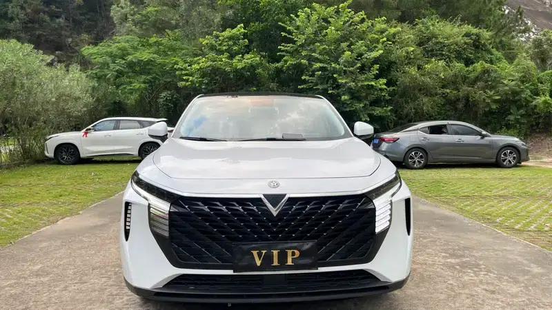Venucia V2022 260T Dark Horse Edition - Idol — миниатюра 2