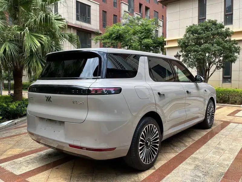 Smart LS8 2026 Model 52 Max+ Luxury Six-Seater — миниатюра 7