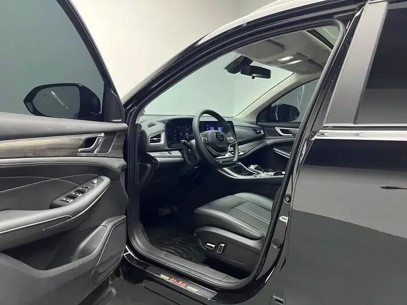 Blue Electric E5 2023 1.5L DE-i Premium Edition — миниатюра 17