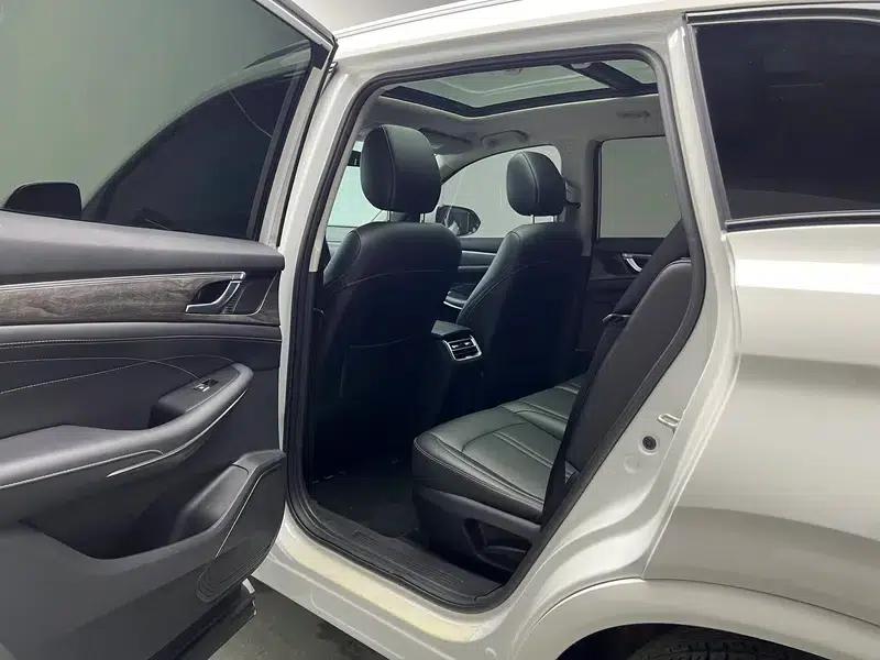 Landian E5 2024 Glory Edition 100km Premium Model — миниатюра 18