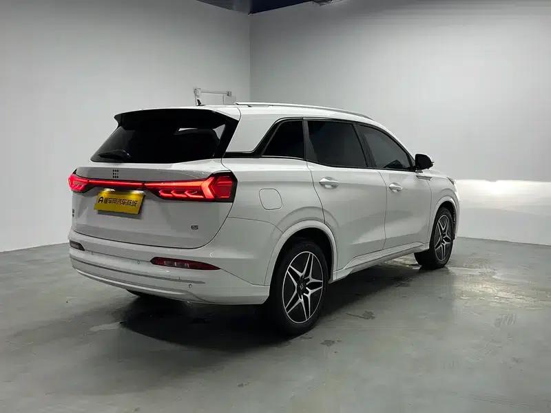Landian E5 2024 Glory Edition 100km Premium Model — миниатюра 7
