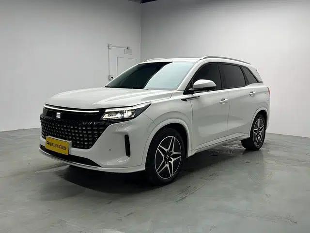 Landian E5 2024 Glory Edition 100km Premium Model