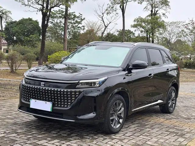 Landian E5 2024 Glory Edition 100km Enjoyment Model