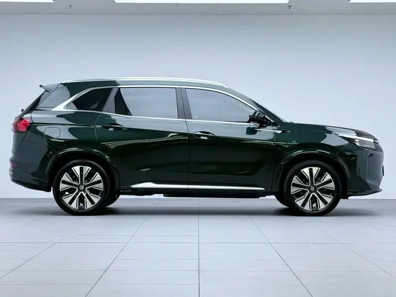Blue Electric E5 PLUS 2025 Model 165km Travel Custom Edition — миниатюра 8