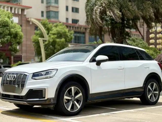 Audi Q2L e-tron 2019 Q2L e-tron Pure Electric Smart Enjoyment Model