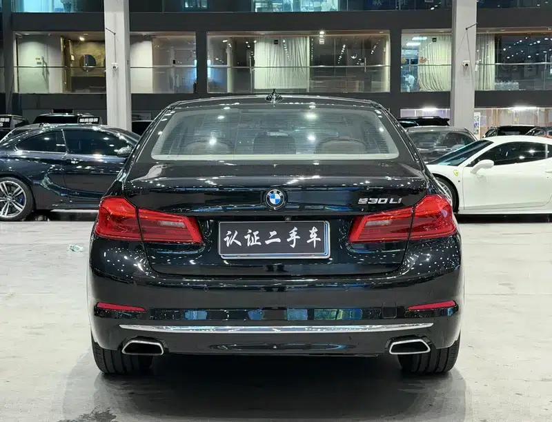 2020 BMW 5 Series 530Li Executive Luxury Package — миниатюра 3