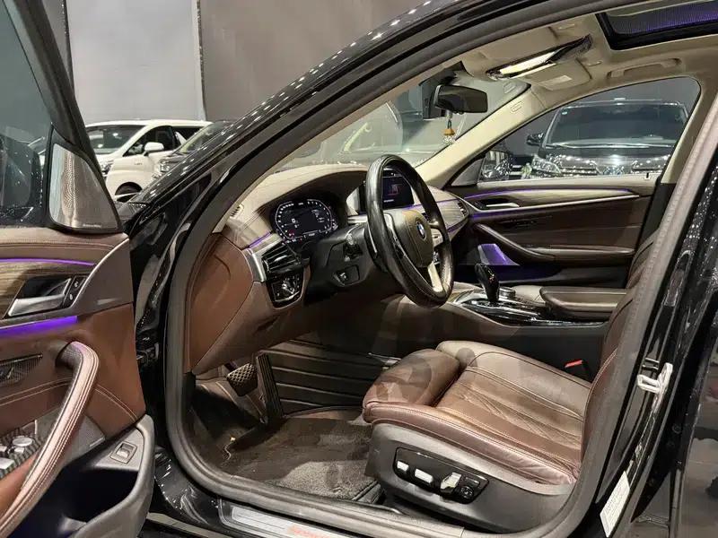 2020 BMW 5 Series 530Li Executive Luxury Package — миниатюра 8