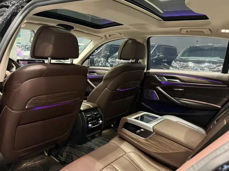 2020 BMW 5 Series 530Li Executive Luxury Package — миниатюра 10
