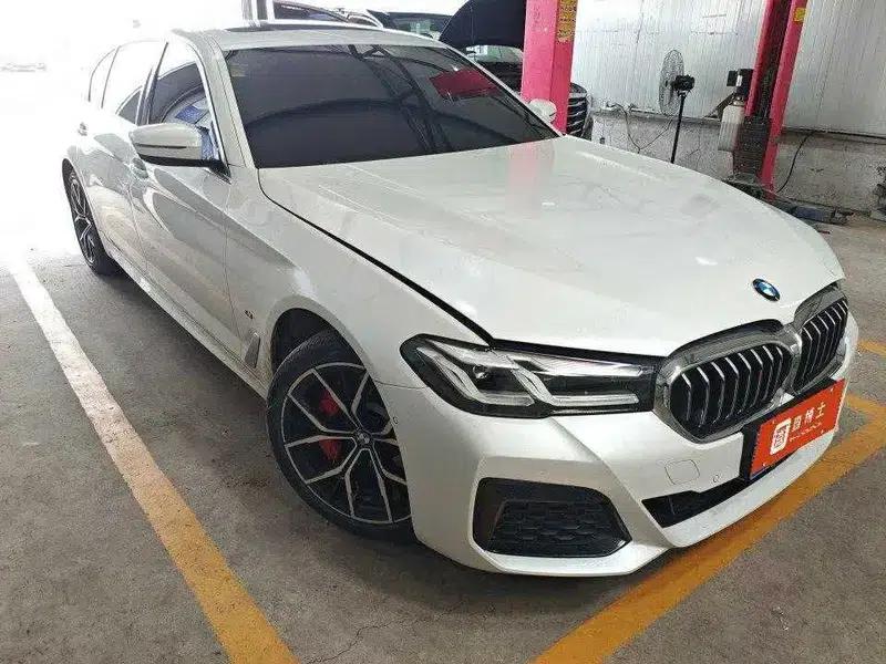 2022 BMW 5 Series Facelift 530Li Luxury M Sport Package — миниатюра 2