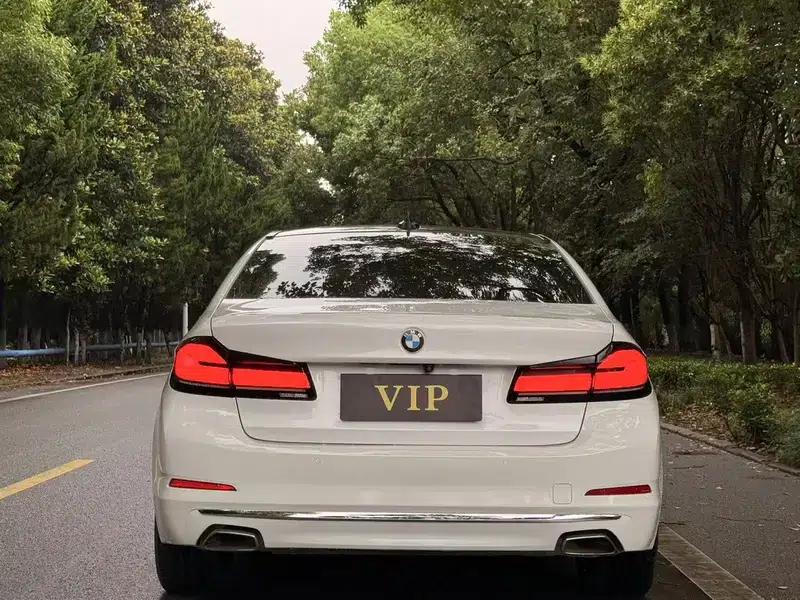 2020 BMW 5 Series 525Li Luxury Package — миниатюра 4