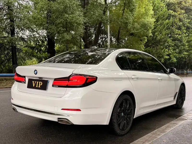 2020 BMW 5 Series 525Li Luxury Package — миниатюра 5